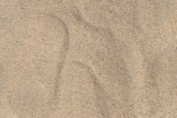 Sand texture on a beach contaminated with microplastics, sand texture concept