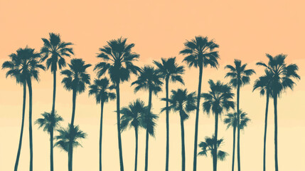 Palm trees. Tropical tree green leaves, beach palms and retro california greenery. Miami trees, coconut palm or exotic hawaii forest green tree. Isolated vector symbols set