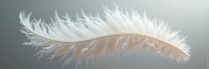 Fototapeta premium A delicate, wispy white feather floating gracefully against a soft background, symbolizing lightness and tranquility—perfect for nature, wellness, and design themes.