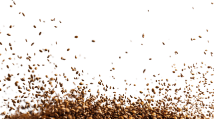 Flying brown cereal grains in motion isolated on a white background