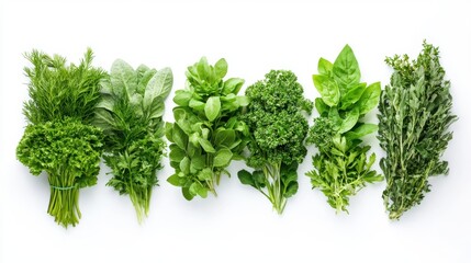 Fototapeta premium A detailed view of various types of leafy greens arranged in a row.
