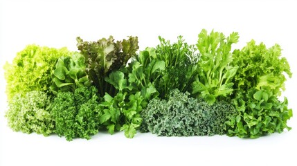 Fototapeta premium A close-up view showcasing various types of fresh vegetables in vibrant colors.