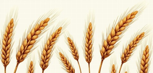 Golden wheat stalks illustrating agriculture and farmland. Perfect for food, nutrition, or farming-related projects.