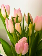 bouquet of tulips