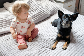 A sweet baby sits on a bed, looking curiously at a black dog lying nearby. The bond between a child and a pet. Kids and pets concept. Candid authentic shot in a home setting