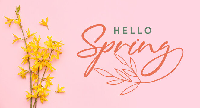 Blooming tree branches with yellow flowers on pink background - Powered by Adobe