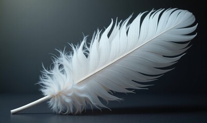 Obraz premium A delicate white feather resting on a dark surface, symbolizing elegance and creativity, perfect for designs related to writing, fashion, or nature.