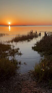 Shore birds on old pier posts at sunrise