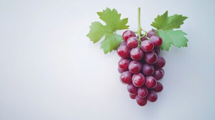 Fototapeta premium A cluster of grapes with green leaves rests on a white surface.