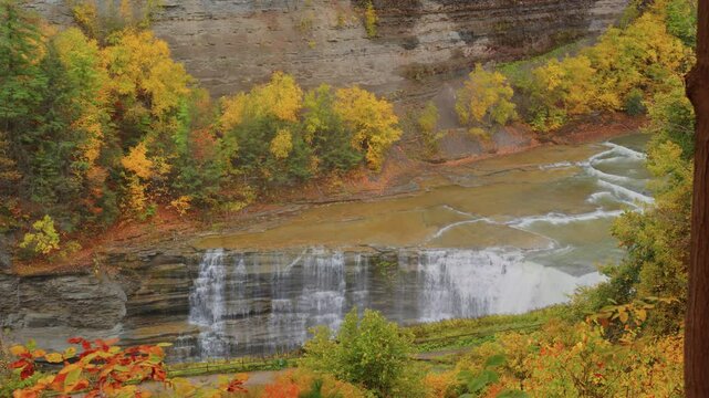 Stunning aerial 4K drone capture of a gentle creek river winding through forests bathed in bright orange and red fall leaves at Letchworth State Park, New York.