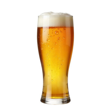 Tall pilsner glass filled with golden beer and foamy head, isolated on white

