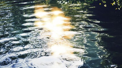 Sunlight dances on rippling water surface.