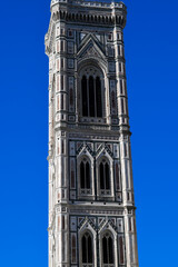 Fototapeta premium Campanile di Giotto in Florenz (Italien)