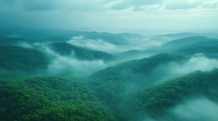 Obraz premium Misty mountain ranges covered in lush green forests