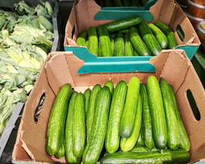 Fresh cucumbers, green cucumbers in cardboard boxes. Market display.