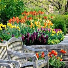 "From the moment you open this image, it ushers in a joyful and cheerful mood, marking the beginning of every beautiful moment."
