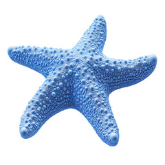 Explore Marine Life: Starfish in Tropical Coral Reef
