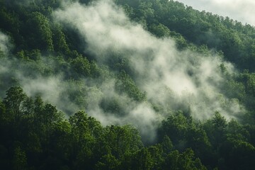 Misty Mountain Forest Lush Green Trees Nature Scenic View Tranquil Atmosphere Serene Landscape Peaceful Environment Verdant Hillscape Foggy Woodland  