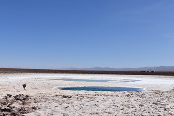 Surreal Reflections on the Atacama Salt Flats"
"Chile’s Hidden Gem: The Breathtaking Salar de Atacama"