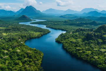 Fototapeta premium A river in a tropical forest seen from above.