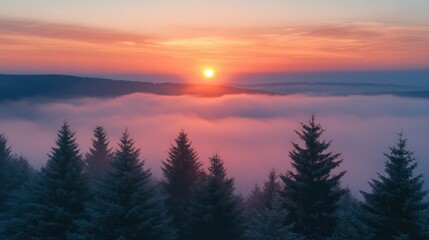 Obraz premium Sunrise over a misty mountain valley with evergreen trees