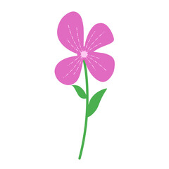 Full color flowers illustration vector