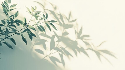 Soft Shadows of Green Leaves on Light Wall Background for Serenity
