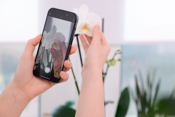 Woman using houseplant recognition application on smartphone indoors, closeup
