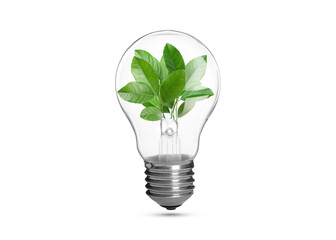 Light bulb with fresh leaves inside in air on white background. Concepts of eco-friendly environment and saving energy