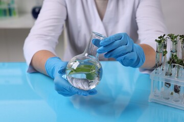 Biochemistry. Scientist working with plants and reagent at blue table, closeup
