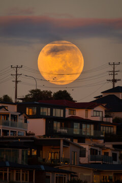 Full Moon setting over a New Zealand landscape.