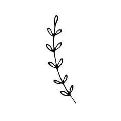 A simple illustration of a plant with a flower and a leaf