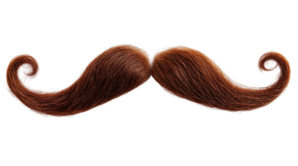 Majestic chestnut brown hair mustache curled at the ends, cut out. Isolated on a transparent background.