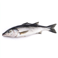 Naklejka premium fresh fish on white background, showcasing its shiny scales
