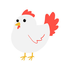 Chicken vector illustration