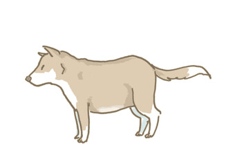 腹部の腫れた犬