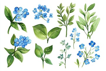 Hand-Drawn Watercolor Blue Forget-Me-Not Flowers and Green Leaves Set, Isolated on White Background, Clipart Collection of Various Plants, Vector Graphic Elements for Wedding Invitation Cards, Creativ