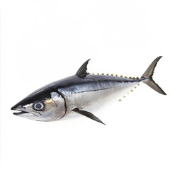 Fototapeta premium Tuna fish on white background, showcasing its sleek body