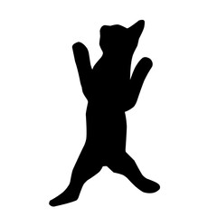 Cat Silhouettes