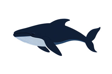 Obraz premium Marine Life Illustration A Detailed Whale Design for Ocean Themes and Wildlife Projects
