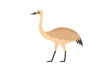 Obraz premium A tall bird with a long neck and slender legs standing on a white surface