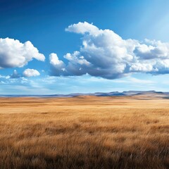 Fototapeta premium Detailed Hyper-realistic image of an African grassland landscape on a pure white background, isolated, sharp details, professional studio lighting