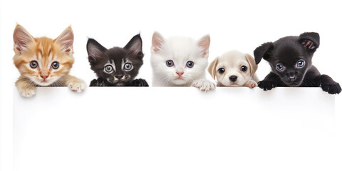 Obraz premium Adorable kittens and puppies curiously peeking over white surface