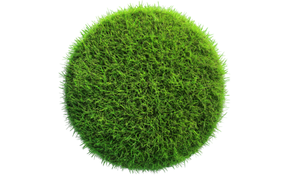 Patch of fresh green lawn grass, cut out