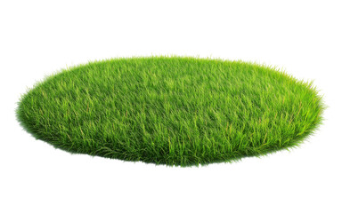 Patch of fresh green lawn grass, cut out