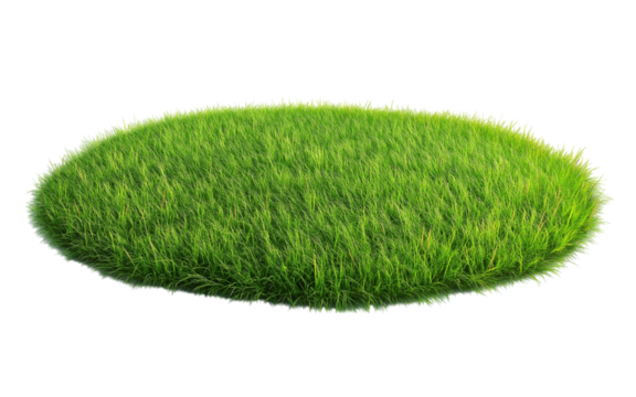 Patch of fresh green lawn grass, cut out