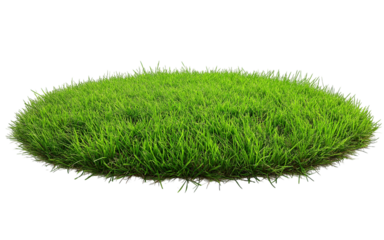 Patch of fresh green lawn grass, cut out