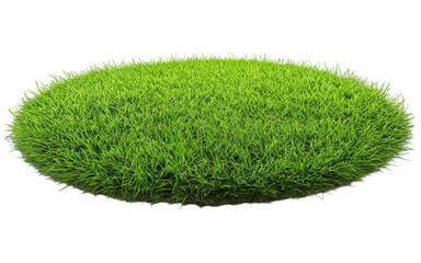 Patch of fresh green lawn grass, cut out