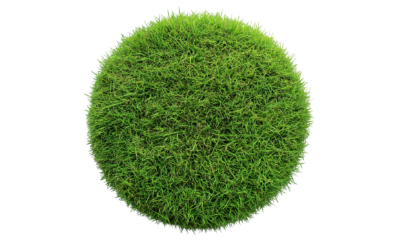 Patch of fresh green lawn grass, cut out