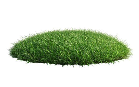 Patch of fresh green lawn grass, cut out